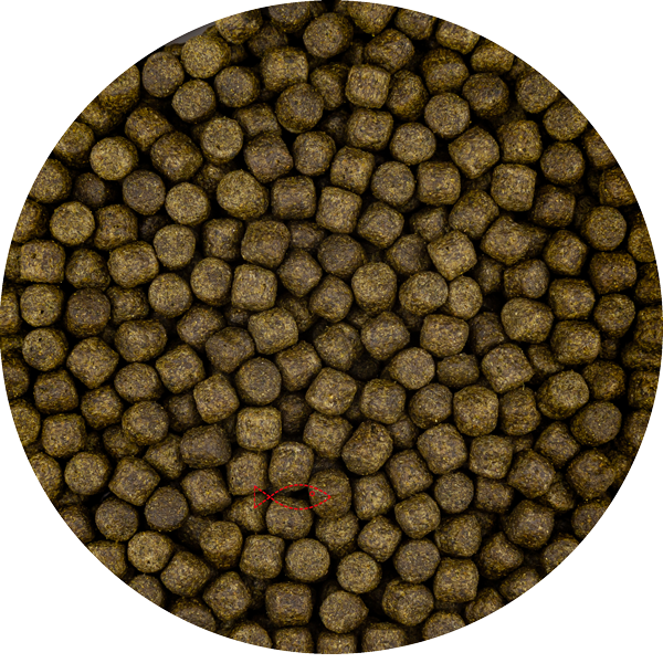 Vivani Color Koi Voer 6mm Pellets - Eiwitrijk met Spirulina - 5L Emmer voor Intense Kleur afbeelding