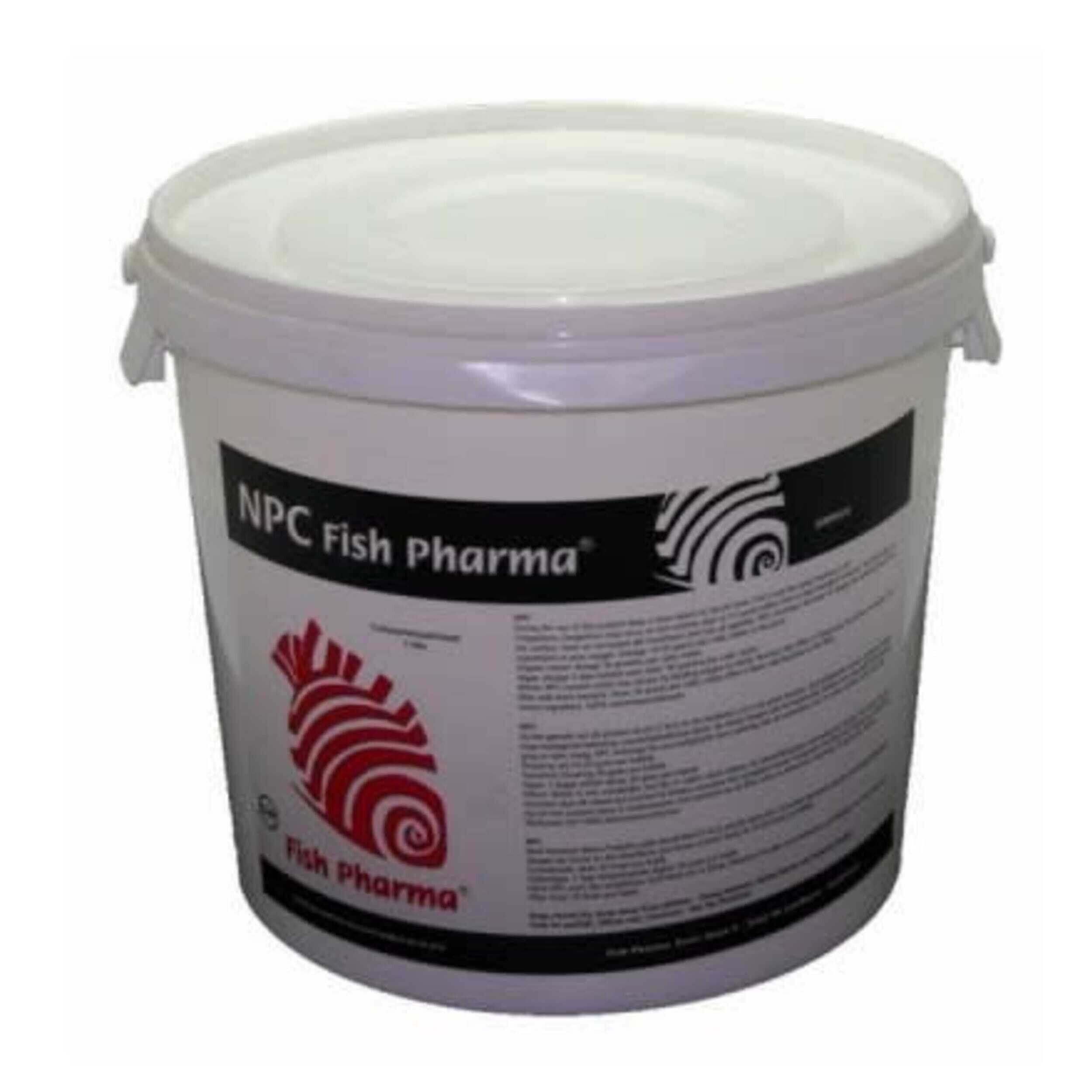 Paint Container