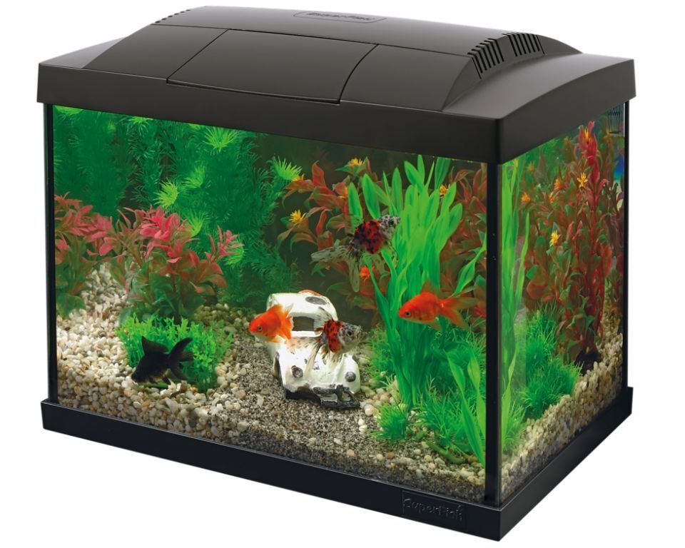 Superfish Start 20 Aquarium Kit - Compleet Zwart 20L Set met LED, Energiezuinig, 2jr Garantie afbeelding